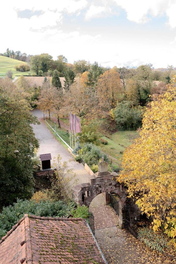 Eventlocation & Hotel Schloss Neuburg Obrigheim Luaran gambar