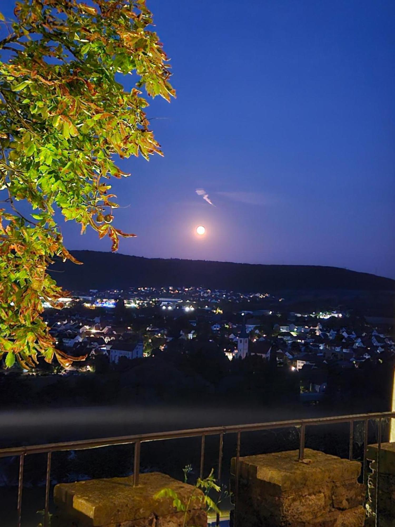Eventlocation & Hotel Schloss Neuburg Obrigheim Luaran gambar